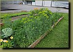 20250719_172042.jpg