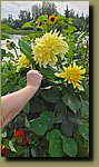 20250719_172539.jpg