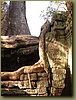Ta Prohm Temple - python looking root the tail.JPG