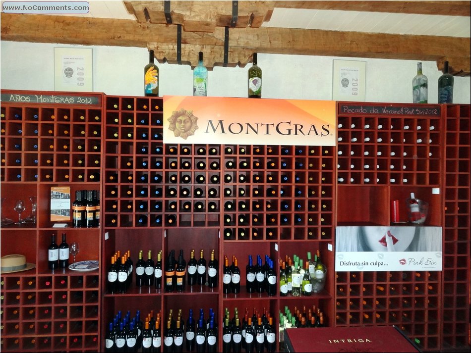MontGras winery 00.JPG