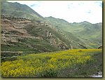 Tibet countryside 2.JPG