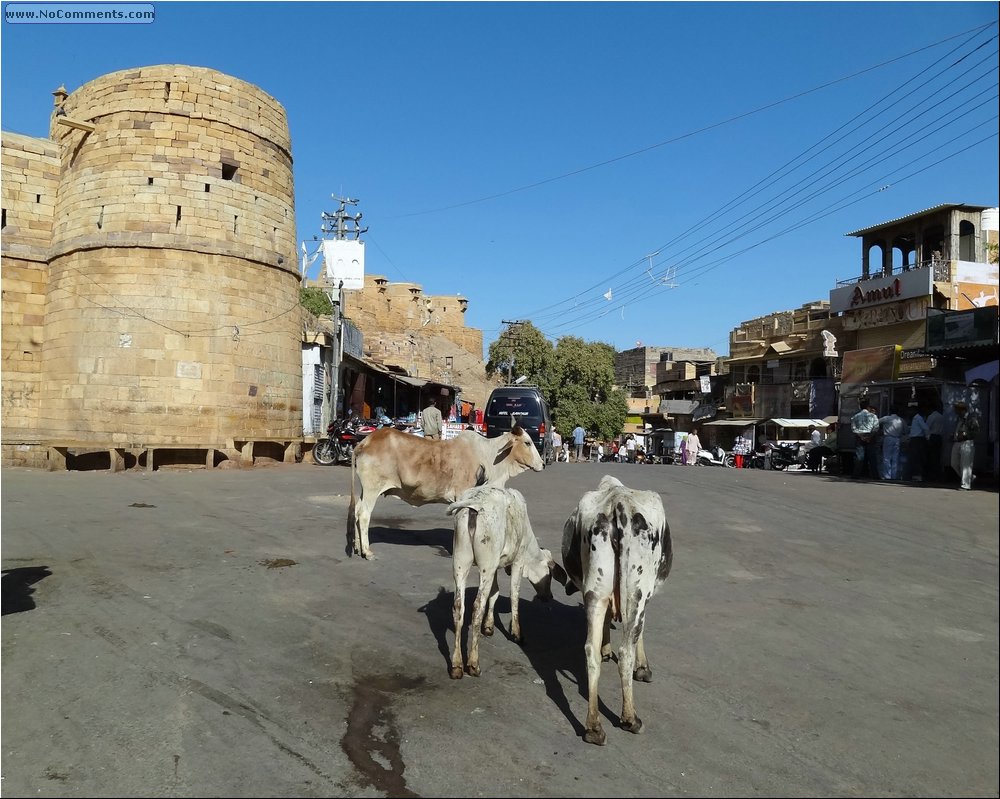 Jaisalmer 04.JPG