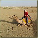 Camel ride 09.JPG