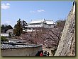 Himeji Shogun Castle 3.JPG