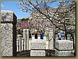 Himeji Shogun Castle 9b.jpg