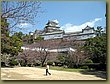 Himeji Shogun Castle 9c.jpg