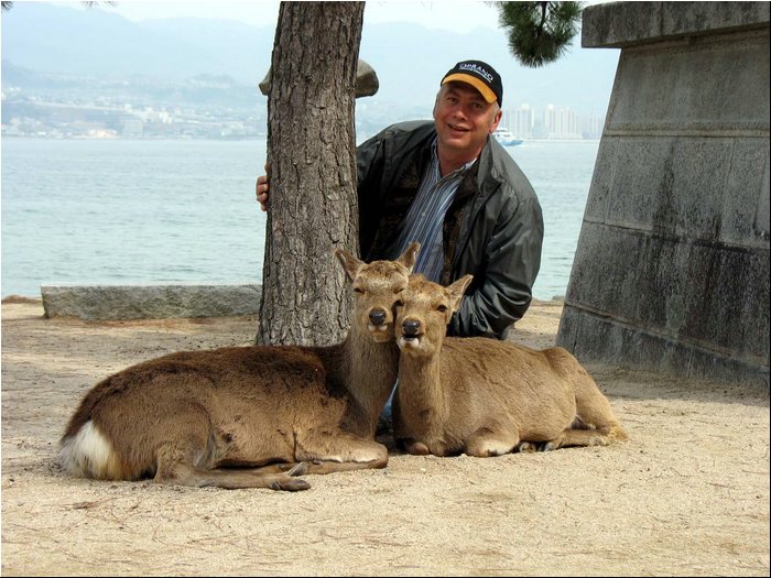Miyajima deers in love.jpg