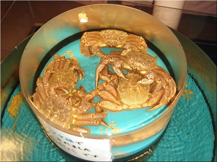 Osaka Crab dinner.JPG