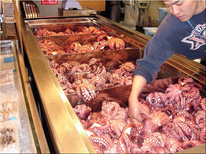 Fish market - octopus heaven.JPG
