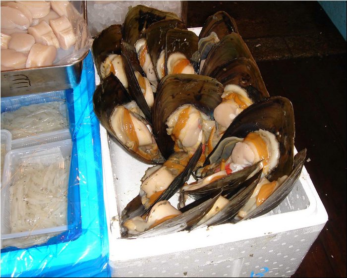 Fish market - scallops.JPG