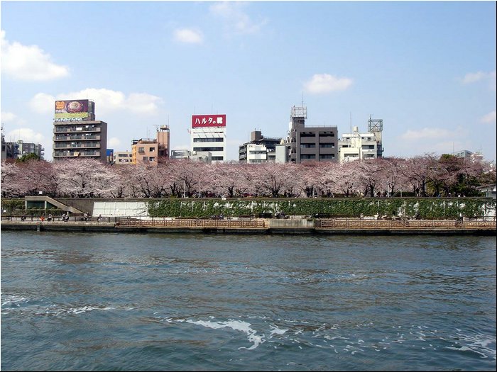 Tokyo - river front.JPG