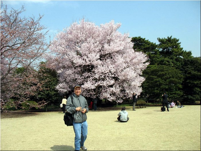 Tokyo Imperial garden 4.jpg