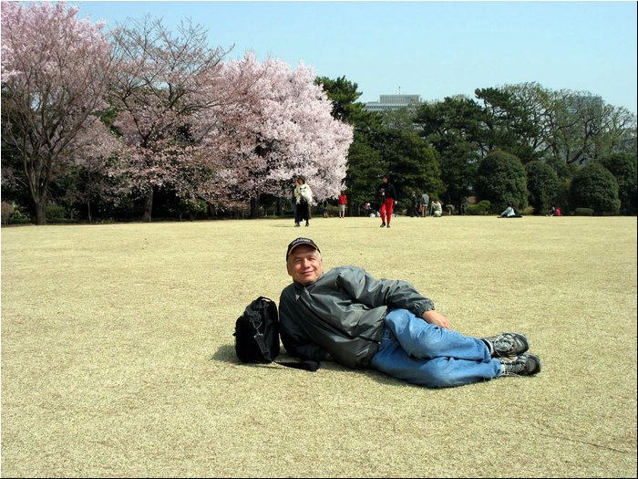 Tokyo Imperial garden 5.jpg