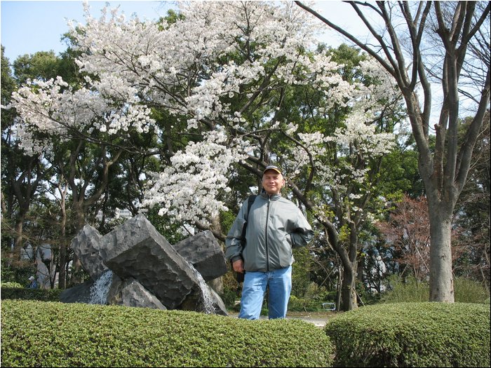 Tokyo Imperial garden 6.jpg