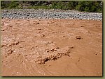 Mud River 2.JPG
