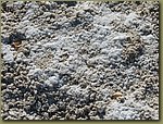Death Valley, California- dried salt lake crystalls.jpg