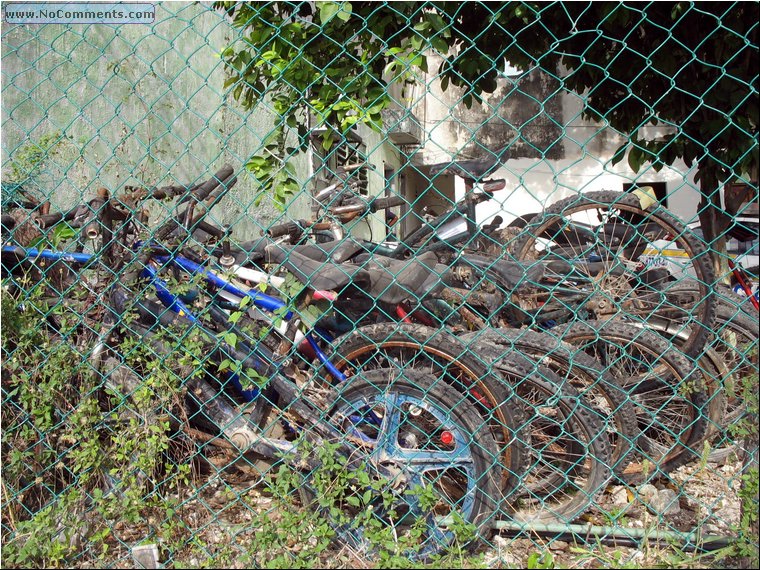 Tulum Confiscated bicycles.jpg