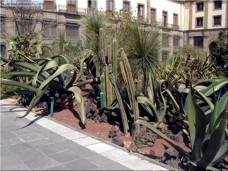 Mexico City Presidential Palace 1.JPG