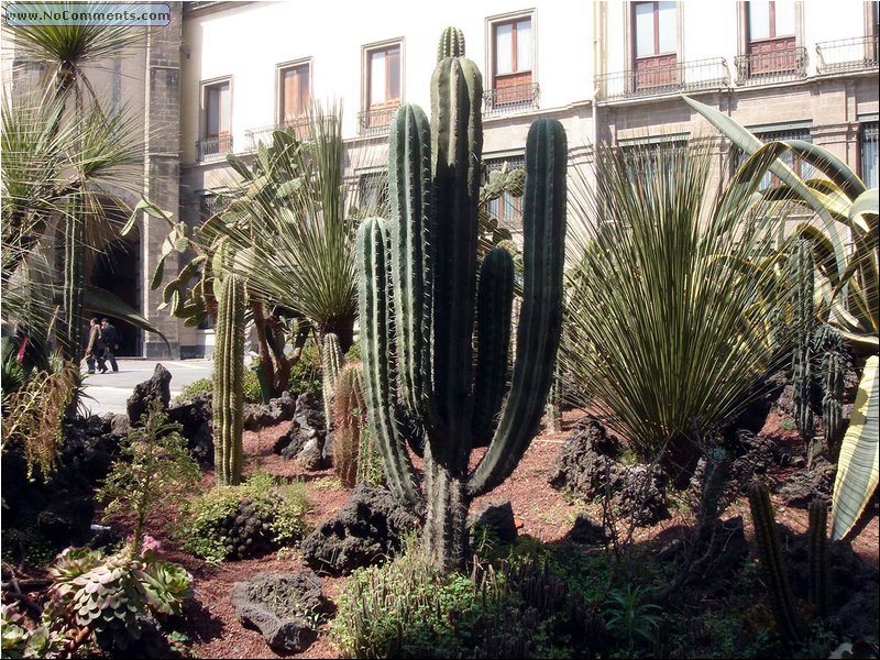 Mexico City Presidential Palace 2.JPG