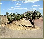 Mexico City Pyramids 5.JPG