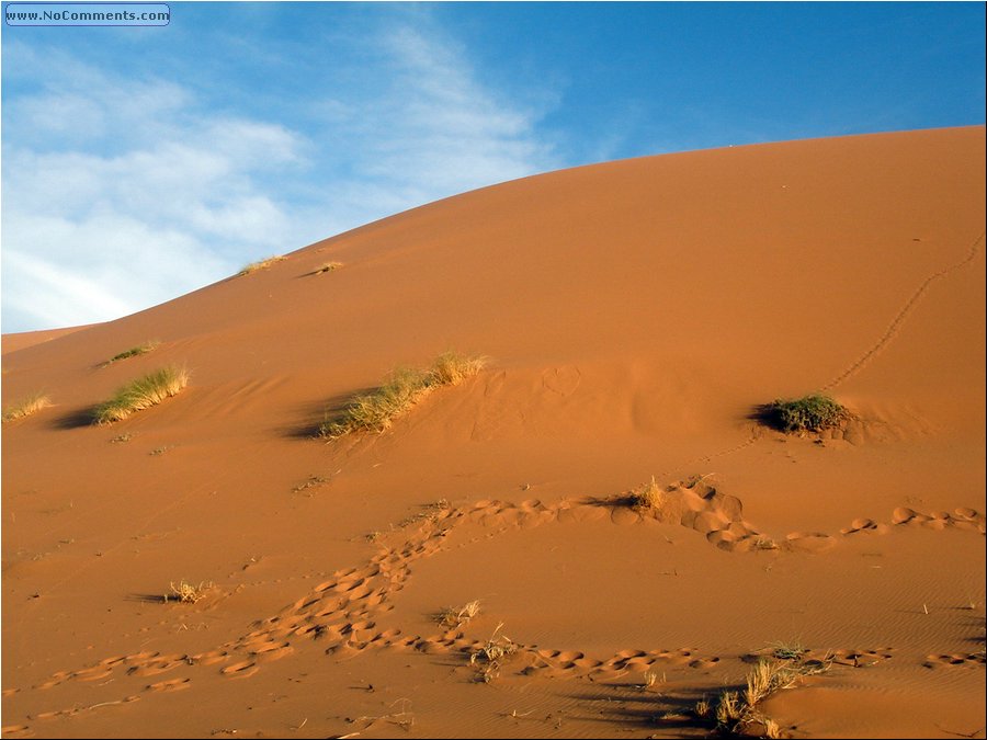 Sahara Desert 065.jpg
