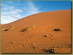 Sahara Desert 065.jpg