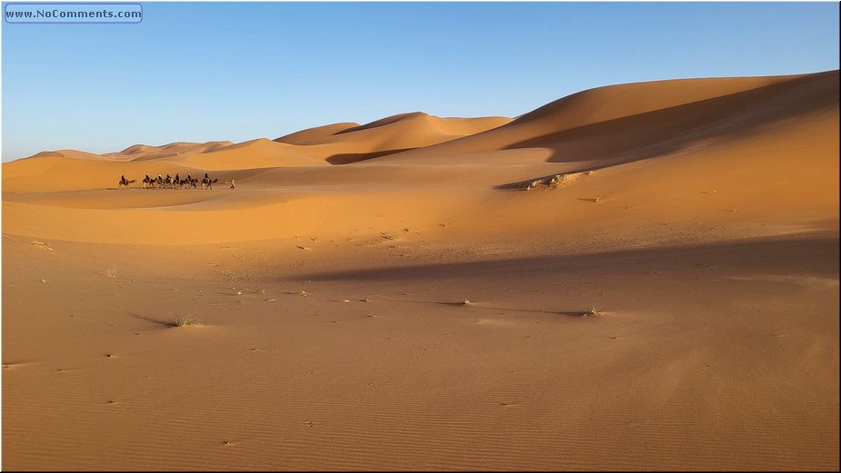 Sahara20.jpg