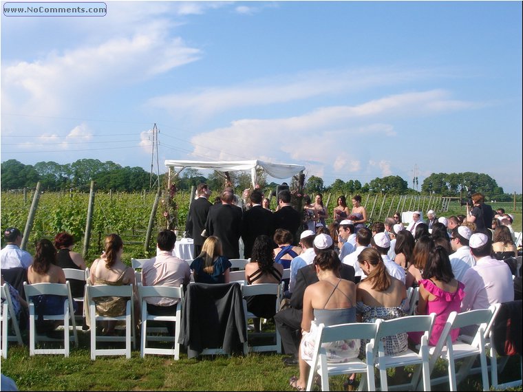 c wedding at the vineyard.JPG