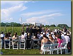 c wedding at the vineyard.JPG