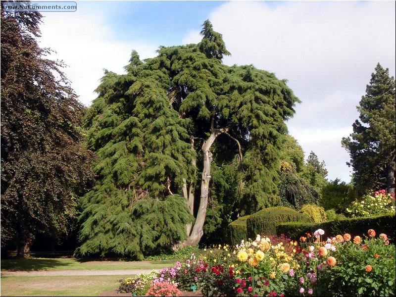 Christchurch Botanical Garden 4.JPG