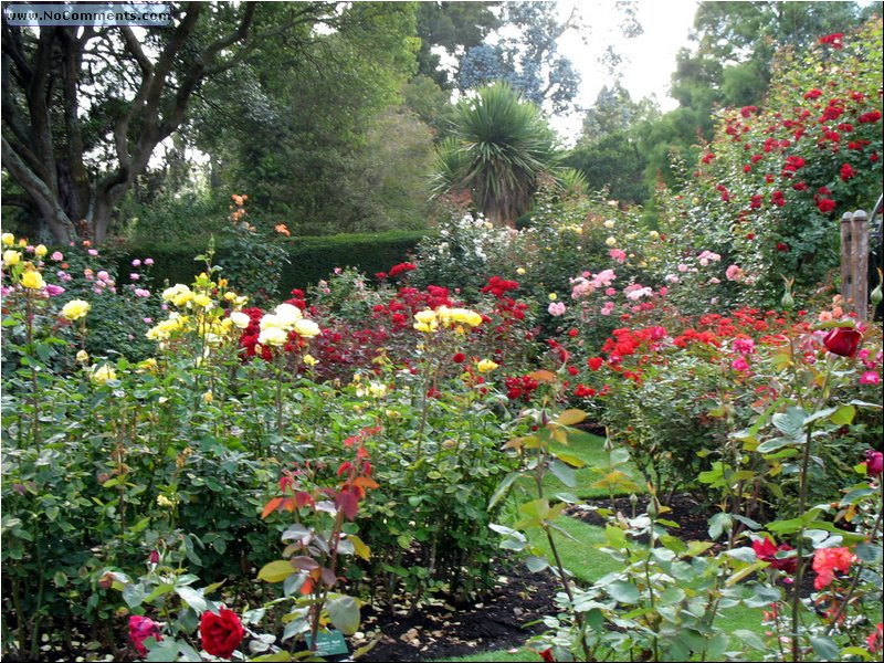 Christchurch Botanical Garden 7.jpg
