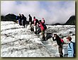 Climbing Fox Glacier 5.JPG