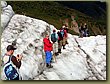 Climbing Fox Glacier 5b.JPG