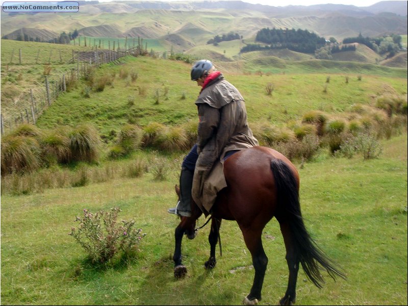 Horseback Riding - cowgirl 2.JPG