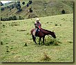 Horseback Riding - cowgirl 1.JPG