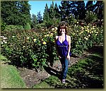 Portland Rose Garden 02.JPG