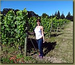 Willamette Valley Wineries 01.JPG