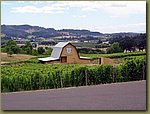 Willamette Valley Wineries 09.JPG