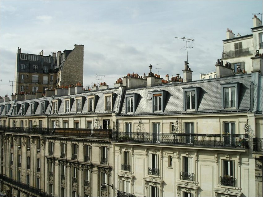 Paris roofs2.jpg