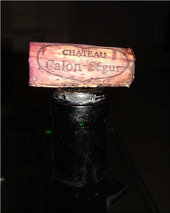 wine Calon Segur 1988 cork.JPG