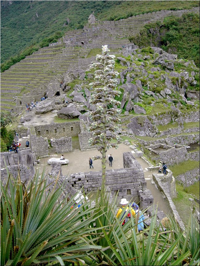 Peru 086.jpg
