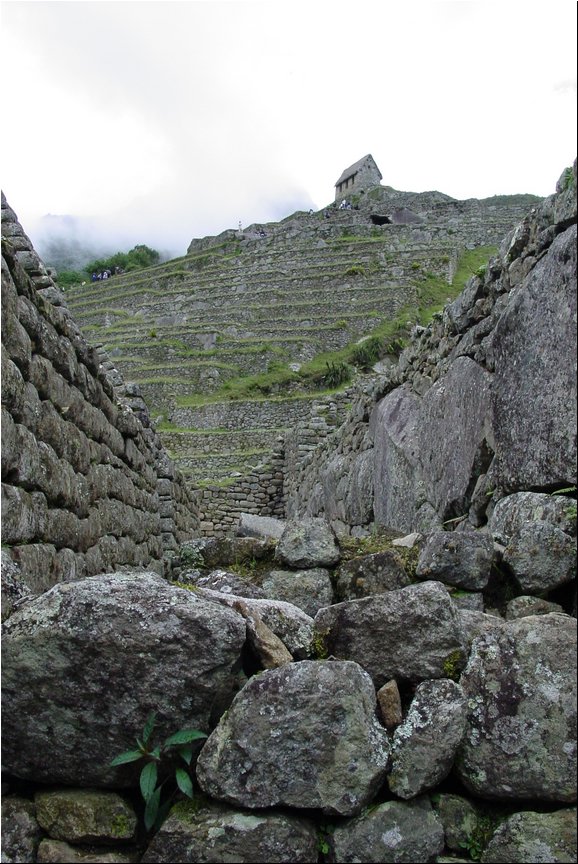 Machu Picchu 009.jpg