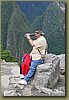 Machu Picchu 019.jpg