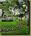 20251127_093405.jpg
