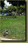 20251127_093621.jpg