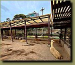 20251127_134915.jpg