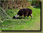 20251207_144916.jpg