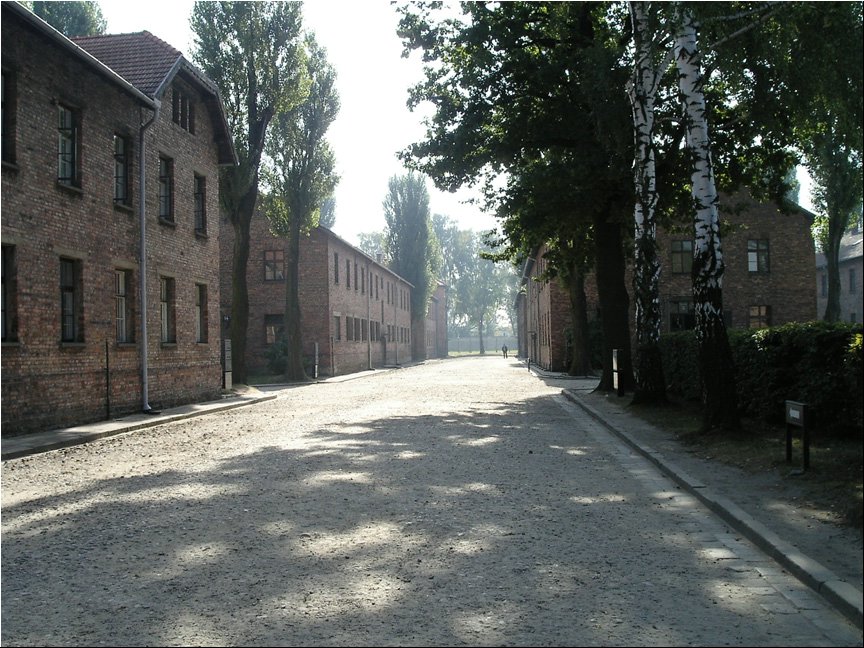 Auschwitz 5.jpg