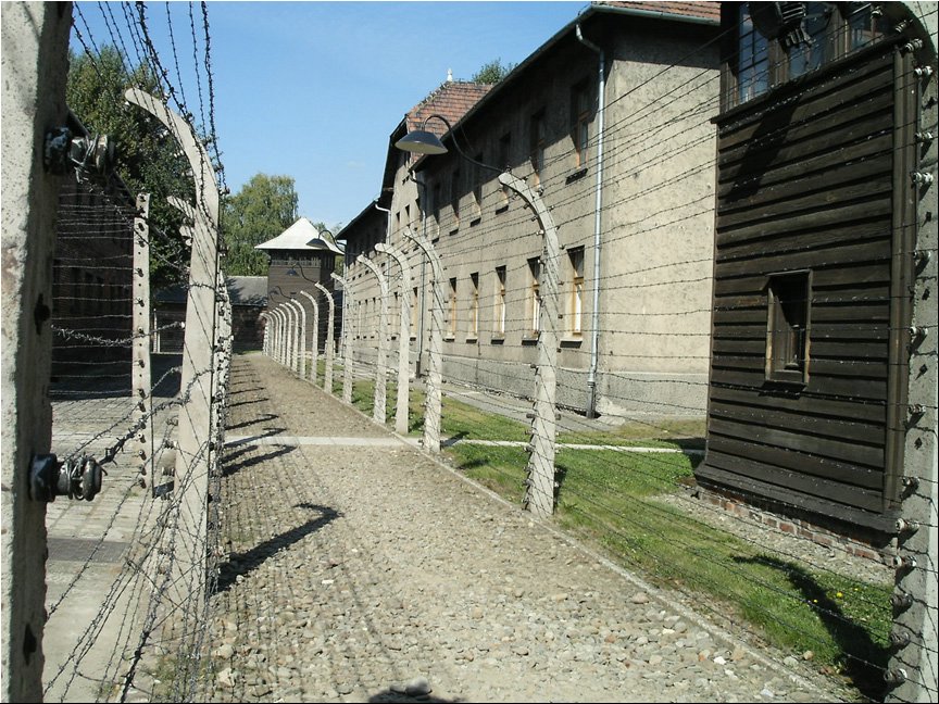 Auschwitz 8.jpg