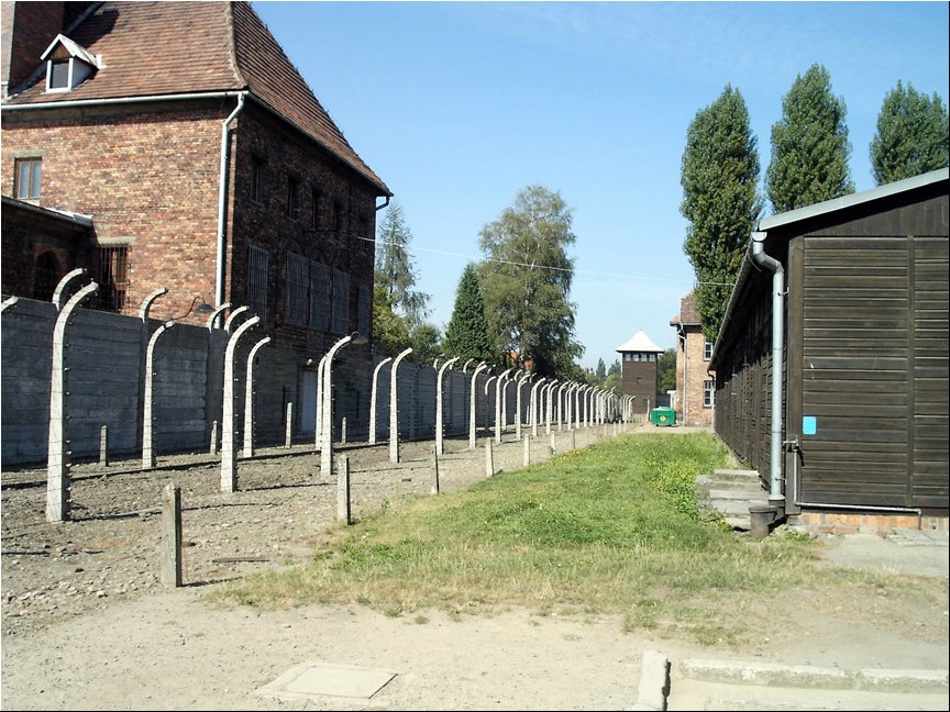 Auschwitz 9.jpg